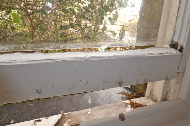 Numerous deplorable living conditions found in a Huddersfield home